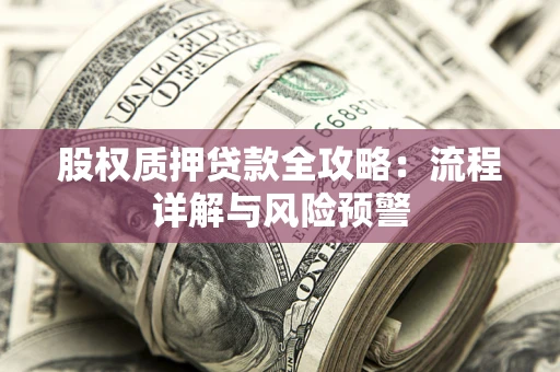 北京股权质押贷款全攻略：流程详解与风险预警