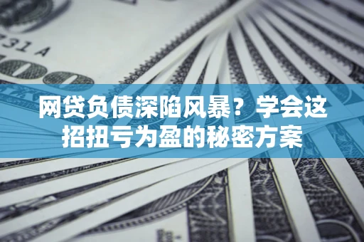 北京网贷负债深陷风暴？学会这招扭亏为盈的秘密方案